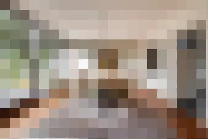 Arendlaan 50 Delft thumbnail 33