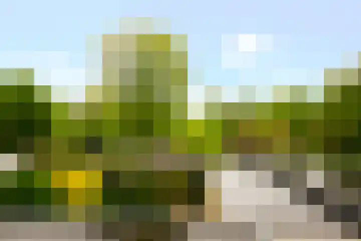 Arendlaan 50 Delft thumbnail 5