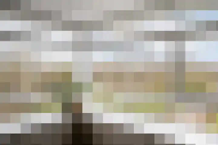 Arendlaan 50 Delft thumbnail 9