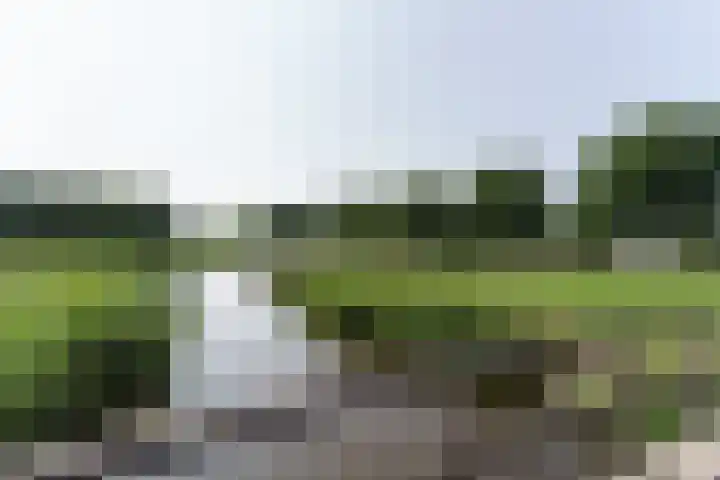 Arendlaan 58 Delft thumbnail 26