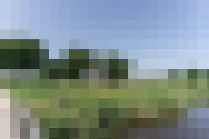 Arendlaan 58 Delft thumbnail 27