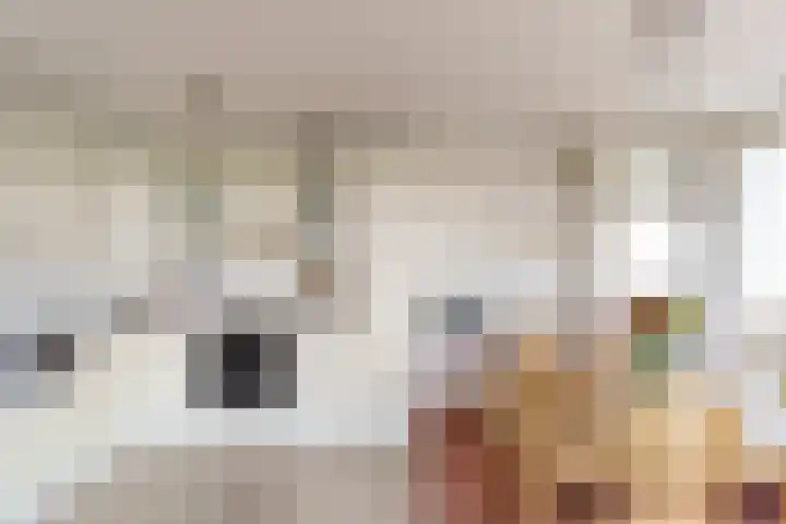 Arendlaan 58 Delft thumbnail 7