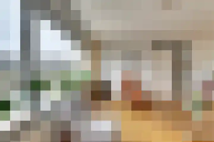 Arendschelling 35 Dronten thumbnail 11