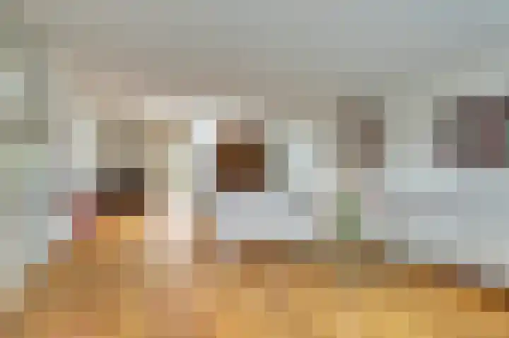 Arendschelling 35 Dronten thumbnail 14