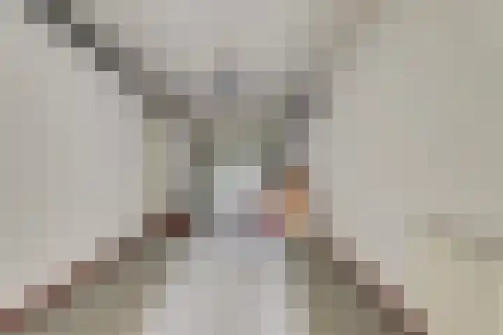 Arendschelling 35 Dronten thumbnail 27