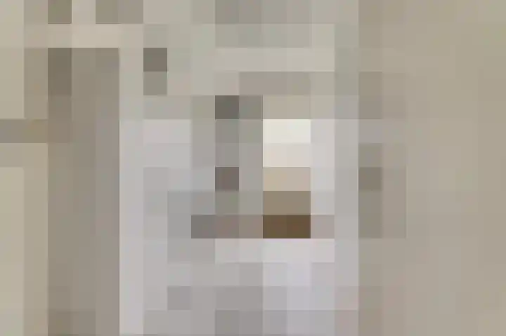 Arendschelling 35 Dronten thumbnail 28