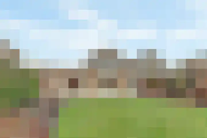 Arendschelling 35 Dronten thumbnail 47