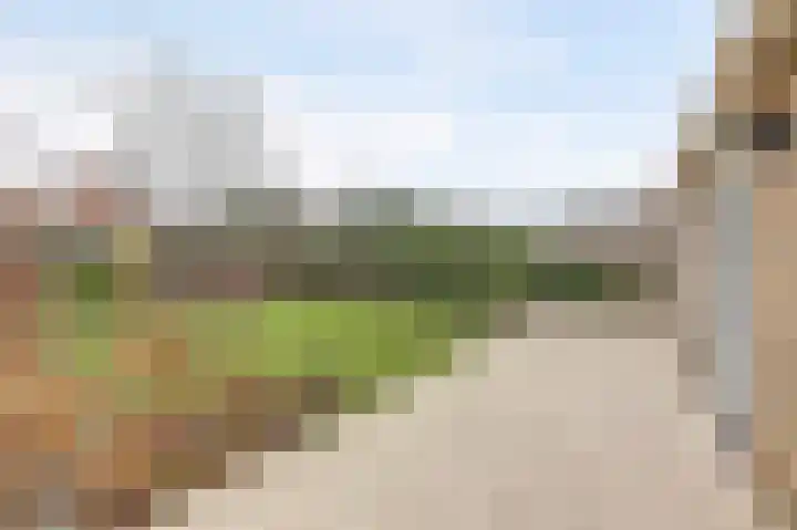 Arendschelling 35 Dronten thumbnail 48