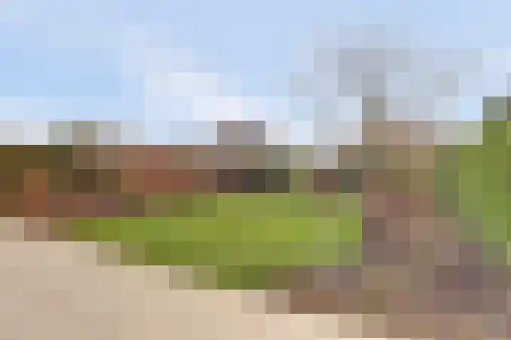 Arendschelling 35 Dronten thumbnail 49