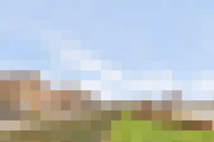 Arendschelling 35 Dronten thumbnail 5