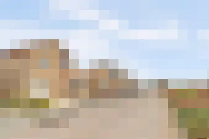 Arendschelling 35 Dronten thumbnail 54