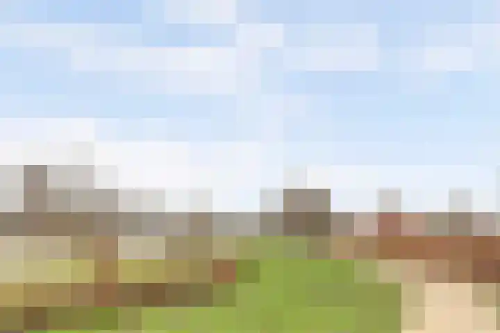 Arendschelling 35 Dronten thumbnail 57