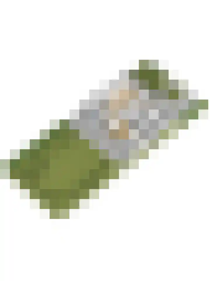 Arendschelling 35 Dronten thumbnail 62