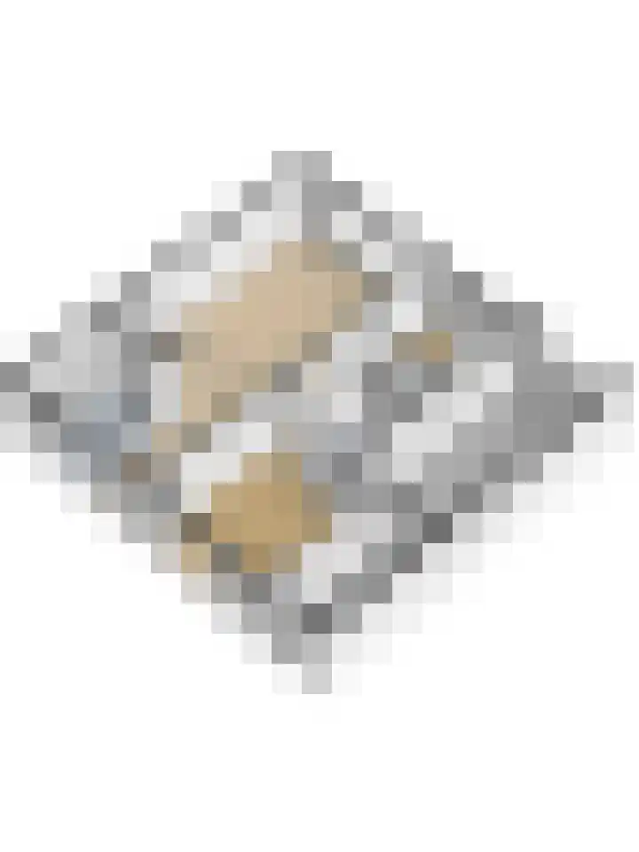 Arendschelling 35 Dronten thumbnail 63