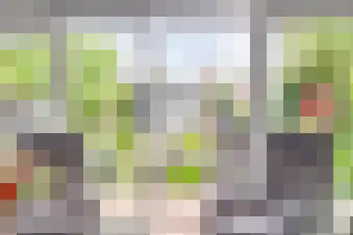 Arendschelling 91 Dronten thumbnail 14