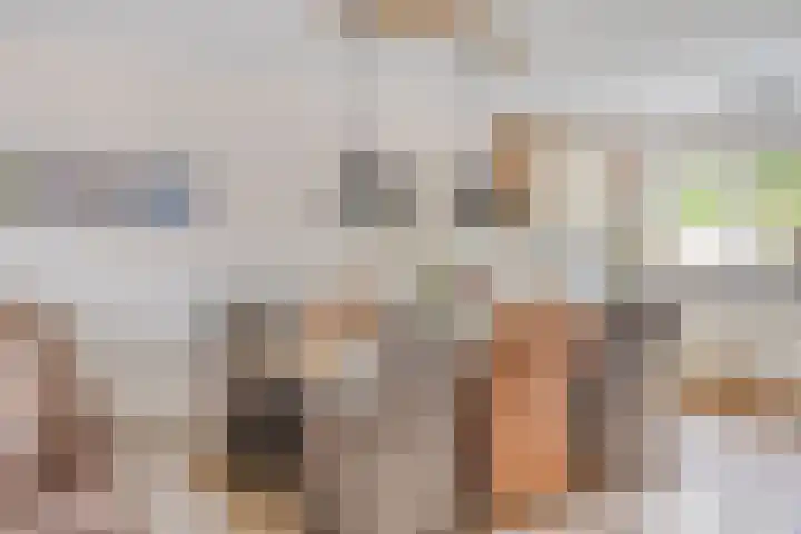 Arendschelling 91 Dronten thumbnail 17