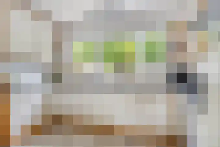 Arendschelling 91 Dronten thumbnail 18