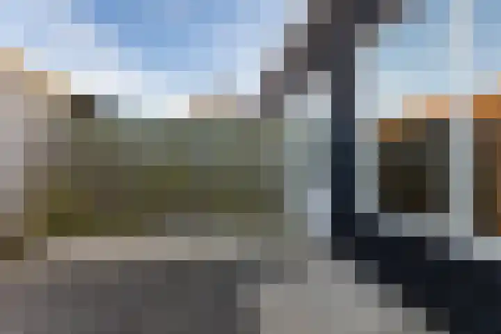 Arendschelling 91 Dronten thumbnail 19