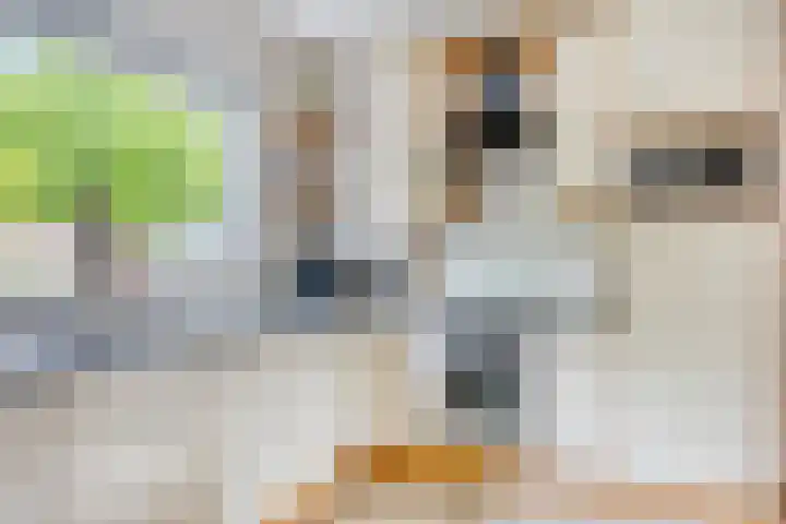 Arendschelling 91 Dronten thumbnail 20