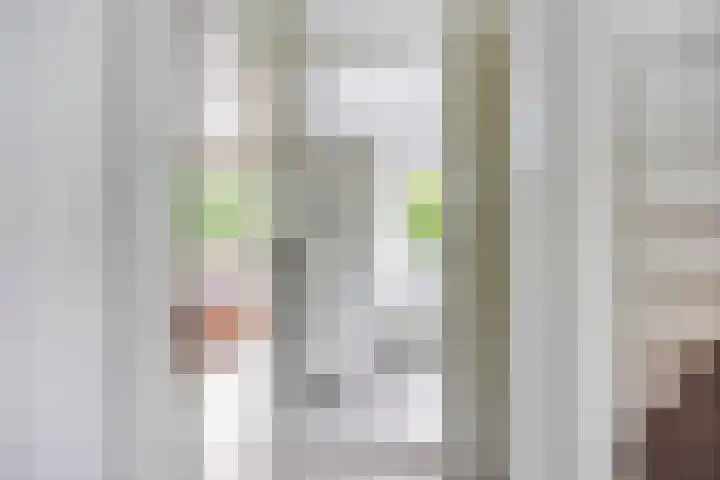 Arendschelling 91 Dronten thumbnail 21