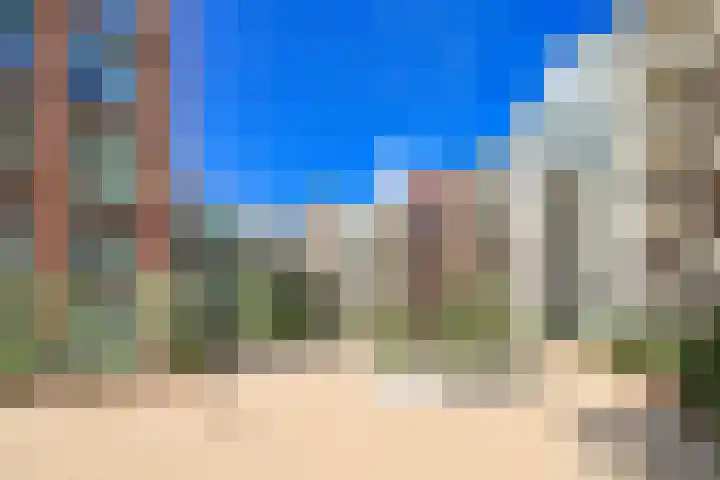 Arendschelling 91 Dronten thumbnail 23