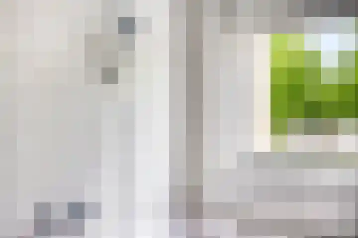 Arendschelling 91 Dronten thumbnail 27