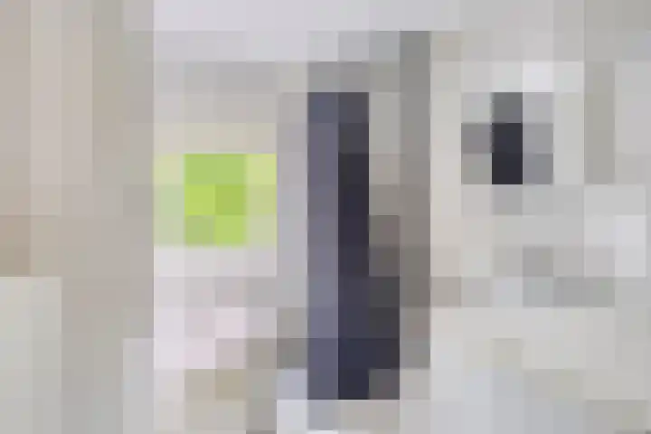 Arendschelling 91 Dronten thumbnail 28