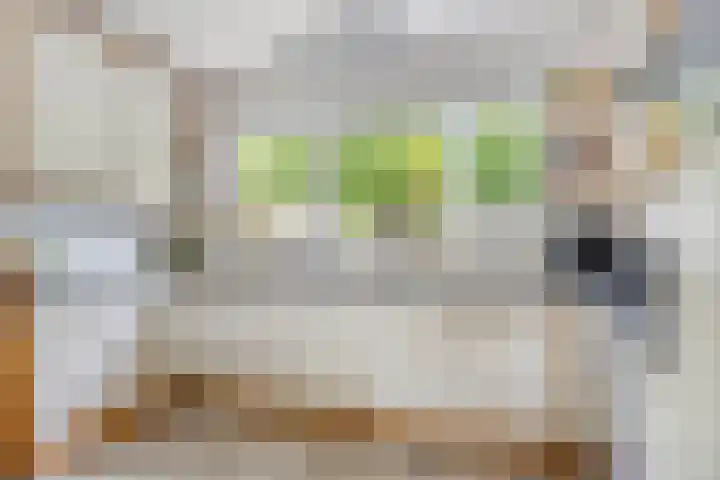 Arendschelling 91 Dronten foto 3