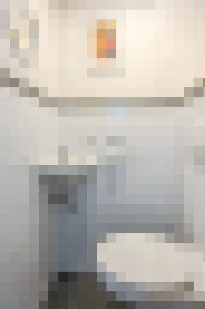 Arendschelling 91 Dronten thumbnail 32