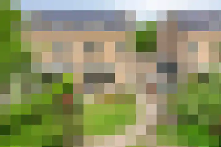 Arendschelling 91 Dronten thumbnail 34