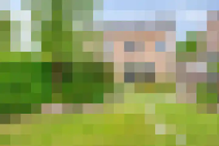 Arendschelling 91 Dronten thumbnail 35