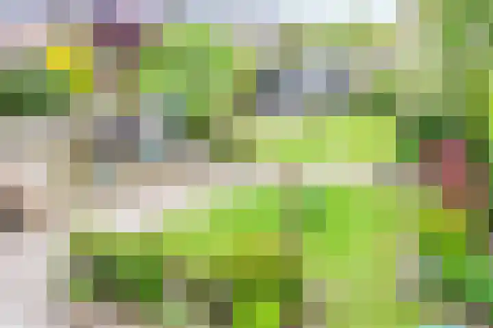 Arendschelling 91 Dronten thumbnail 36