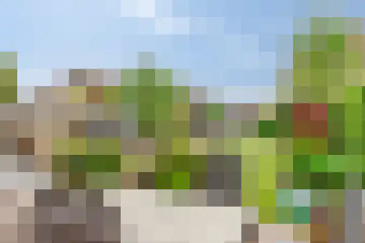 Arendschelling 91 Dronten thumbnail 37