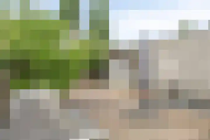 Arendschelling 91 Dronten thumbnail 38