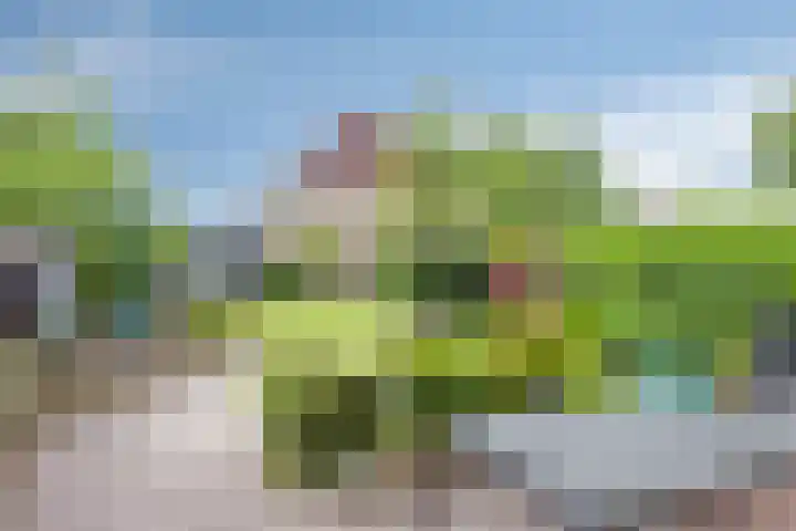 Arendschelling 91 Dronten thumbnail 38
