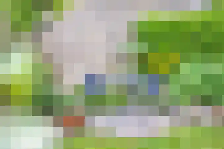 Arendschelling 91 Dronten thumbnail 40