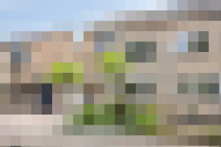 Arendschelling 91 Dronten thumbnail 41