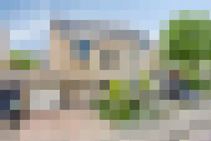 Arendschelling 91 Dronten thumbnail 42