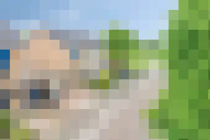 Arendschelling 91 Dronten thumbnail 43