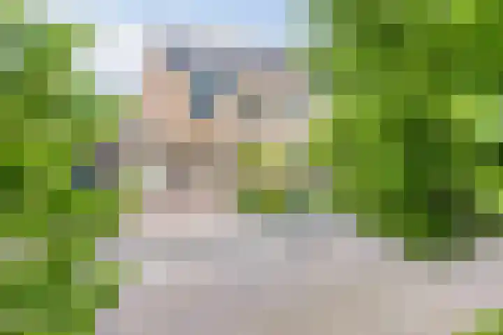 Arendschelling 91 Dronten thumbnail 44