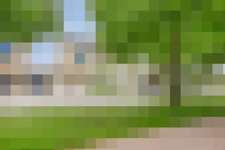 Arendschelling 91 Dronten thumbnail 45