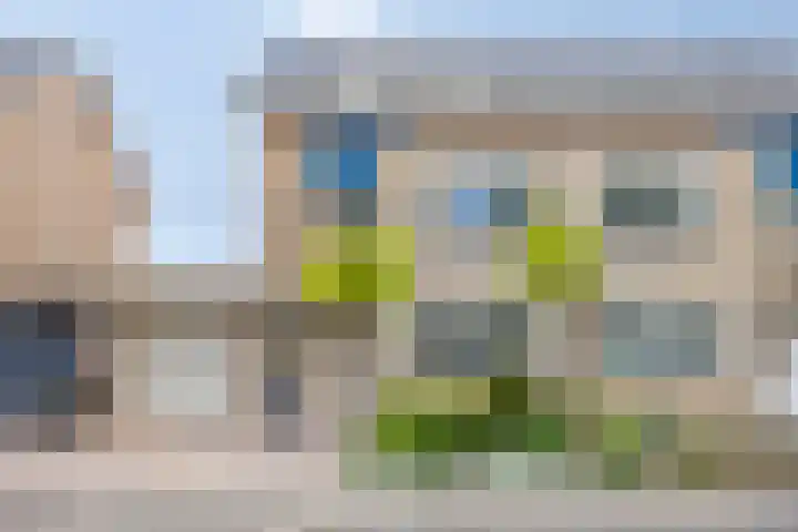 Arendschelling 91 Dronten thumbnail 5