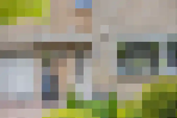 Arendschelling 91 Dronten thumbnail 6