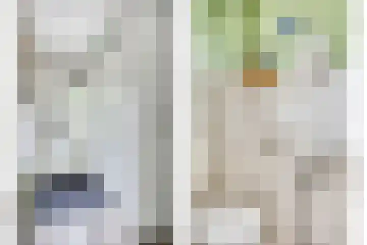 Arendschelling 91 Dronten thumbnail 7