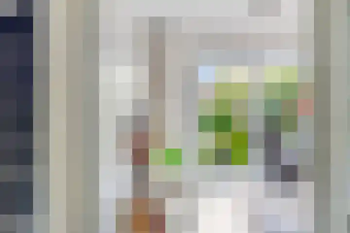 Arendschelling 91 Dronten thumbnail 8