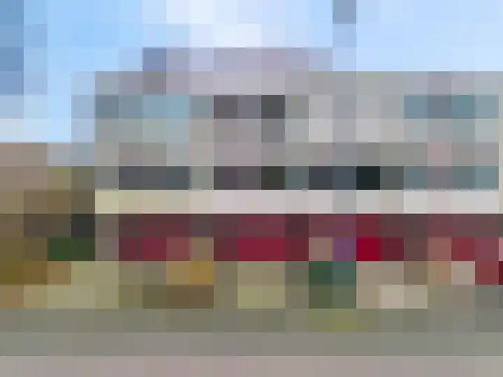 Arendshorst 3 Ede