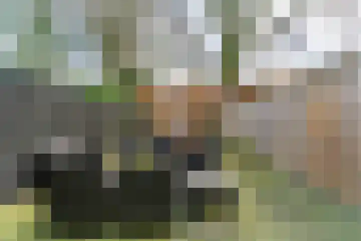 Arendshorst 3 Ede thumbnail 25