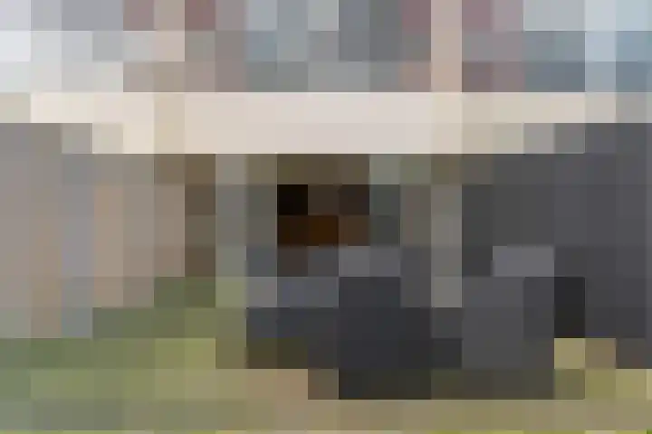 Arendshorst 3 Ede thumbnail 28