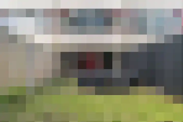 Arendshorst 3 Ede thumbnail 30