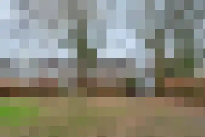 Arendshorst 3 Ede thumbnail 37